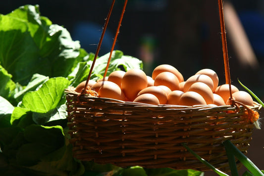 What Foods Have a High Thermic Effect?
