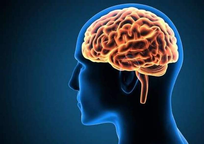 The 7 Best Brain Boosting Supplements