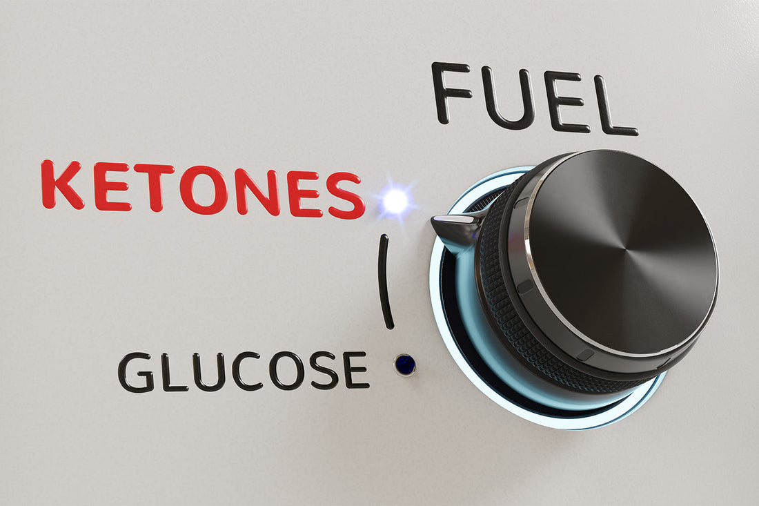 Ketosis vs. Ketoacidosis: Knowing the Difference
