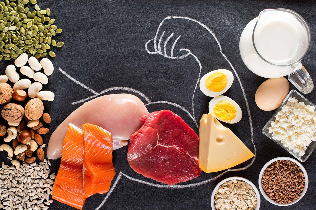 High Protein Snacks for Staying Healthy and Fit
