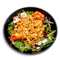 A lively and colorful healthy meal prep plate of salad featuring a generous portion of diced chicken breast tossed in a golden, creamy dressing and sprinkled with black sesame seeds. The chicken sits atop a lush bed of mixed greens, including kale and spinach, creating a fresh, earthy base. Around the edges, vibrant accents of diced mango, fire-roasted red peppers, roma tomatoes, and corn add a pop of color, while thinly sliced almonds lend a satisfying crunch.