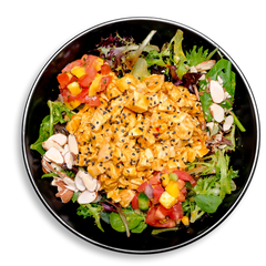 A visually stunning plate bursting with freshness and color, this healthy prepared meal features tender cubes of chicken breast coated in a bold, orange-hued dressing. Black sesame seeds dot the top, offering contrast and crunch. The chicken is cradled by a bed of leafy greens, with crisp kale and mesclun mix forming the base. Colorful toppings of red and yellow bell peppers, sweet mango chunks, diced roma tomatoes, and roasted corn add brightness, while slivered almonds are scattered throughout.