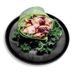A straightforward view of a bold and colorful healthy prepared meal: a thick, green spinach tortilla brimming with juicy chunks of seasoned chicken, creamy Greek yogurt, ruby-red cranberries, and crisp celery. The wrap is cut open to reveal its textured filling and placed over fresh kale, offering a balanced, protein-rich health food option perfect for clean eating or meal prepping.