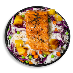 Salmon Says Teriyaki