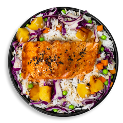 Salmon Says Teriyaki