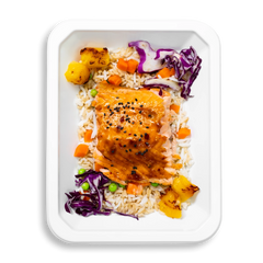 Salmon Says Teriyaki